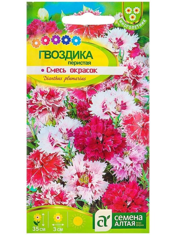 Семена цветов Гвоздика 