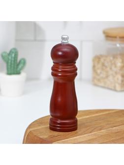 Мельница для специй Доляна, 15,5×4,5 см, металлический механизм, цвет коричневый