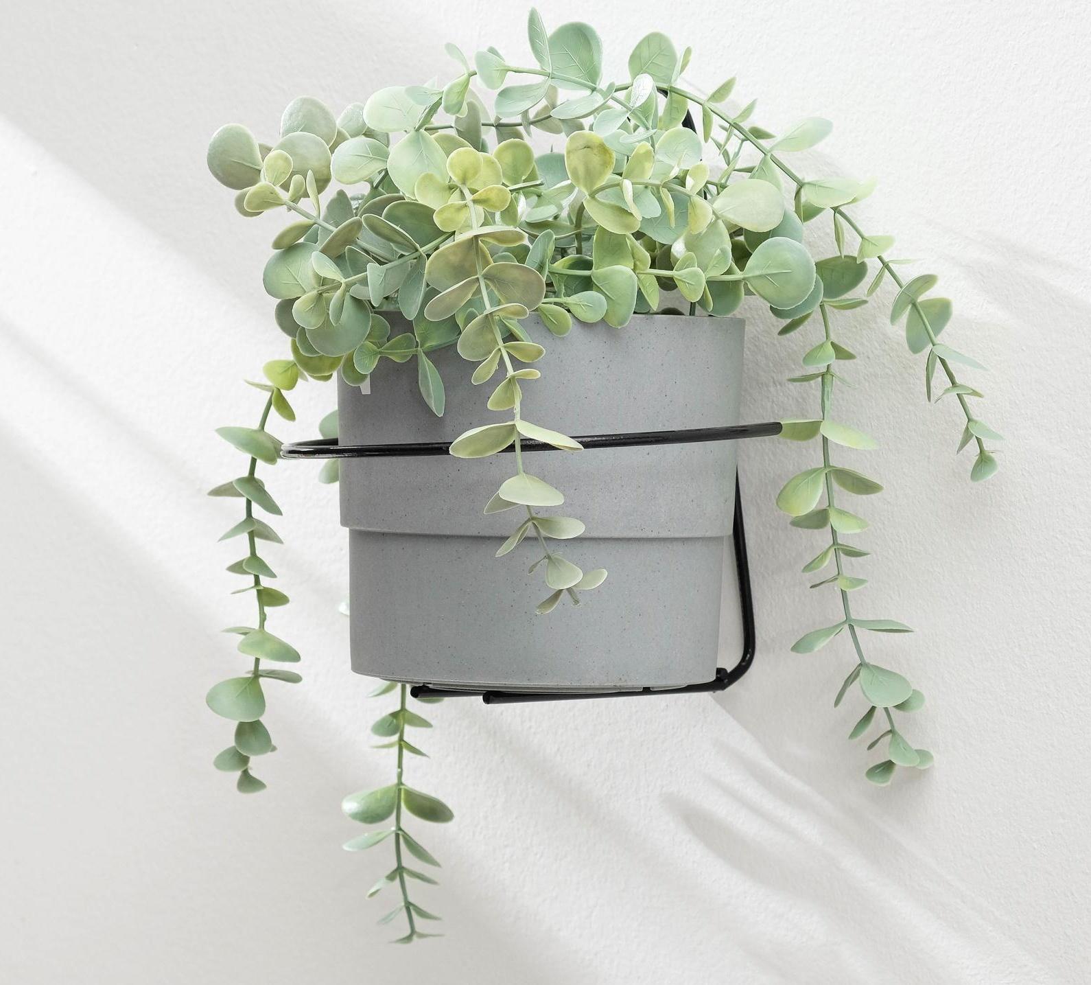 Подвес для кашпо настенный «Одиночка», d = 16 см, чёрный