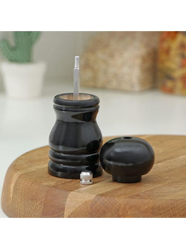 Мельница для специй Доляна «Краски», 11 см, цвет чёрный