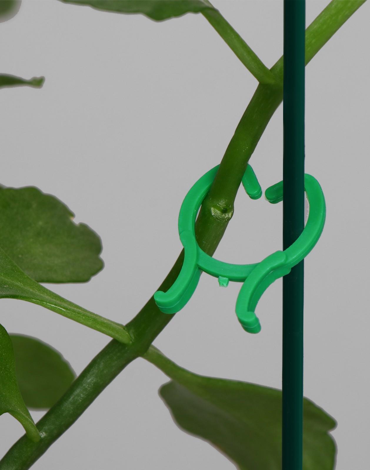 Набор креплений для растений, набор 50 шт., Greengo