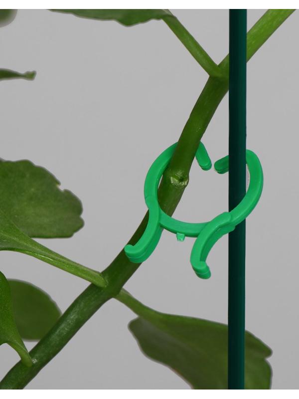 Набор креплений для растений, набор 50 шт., Greengo