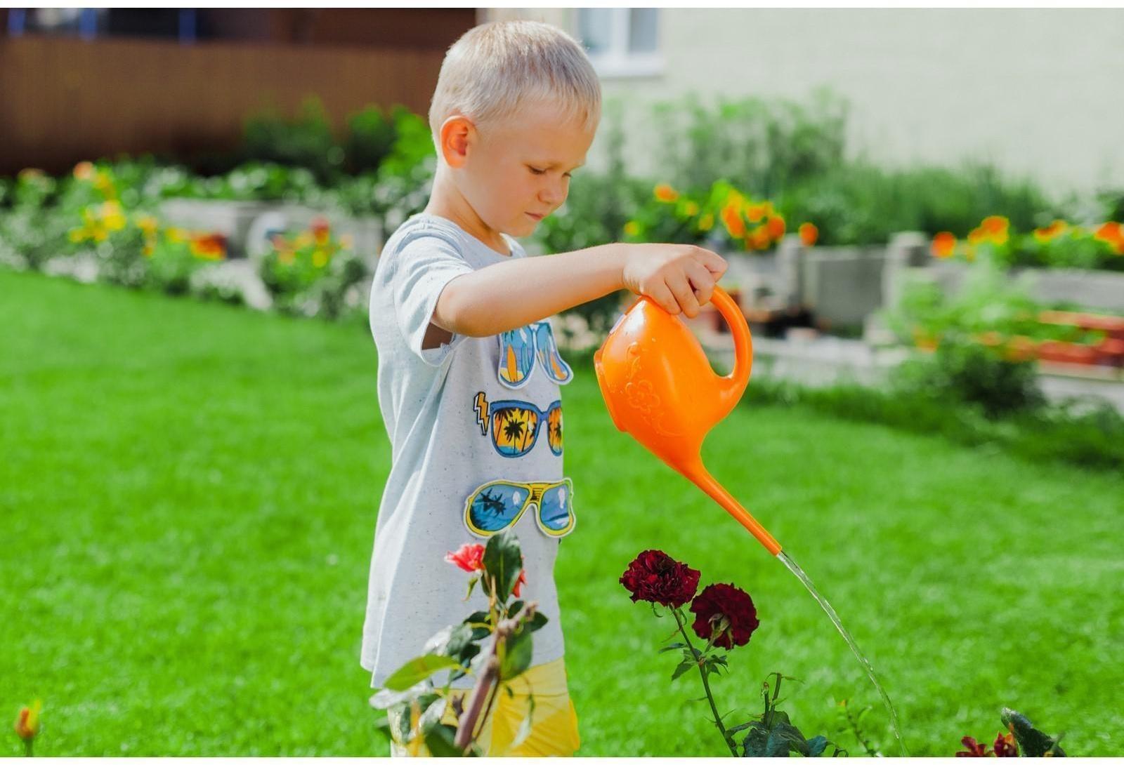 Лейка, 1 л, без рассеивателя, «Малютка», МИКС