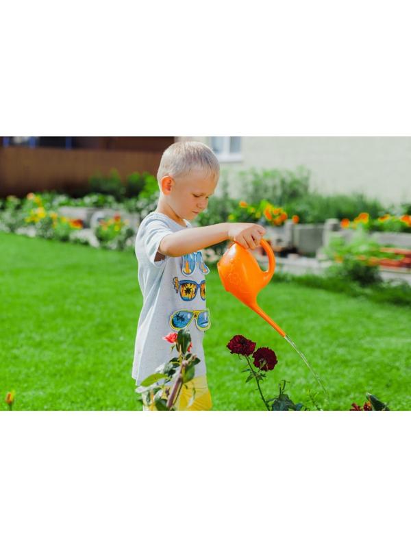 Лейка, 1 л, без рассеивателя, «Малютка», МИКС