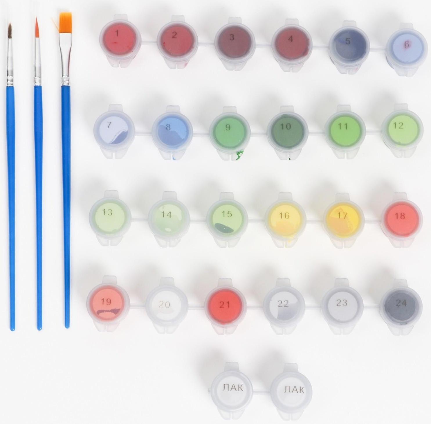 Картина по номерам на холсте с подрамником «Маки» 40×50 см