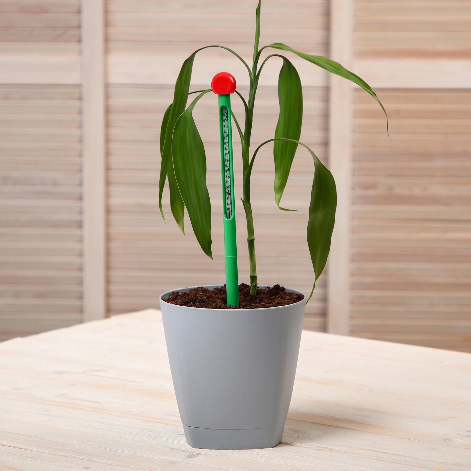 Прибор для измерения температуры почвы