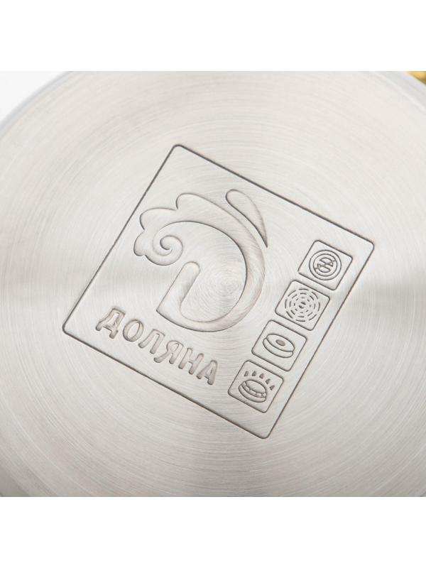 Кастрюля из нержавеющей стали с крышкой Доляна «Стандарт», 3 л, d=20 см