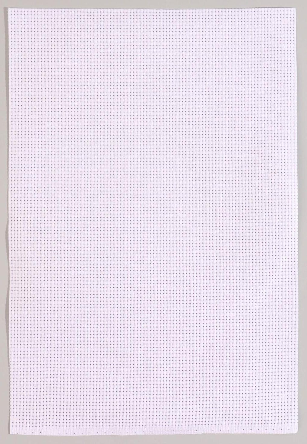 Набор для вышивания крестиком: канва без рисунка 30 × 20 см, нитки 20 шт, пяльцы d = 18 см, иглы 6 шт, шпульки 10 шт