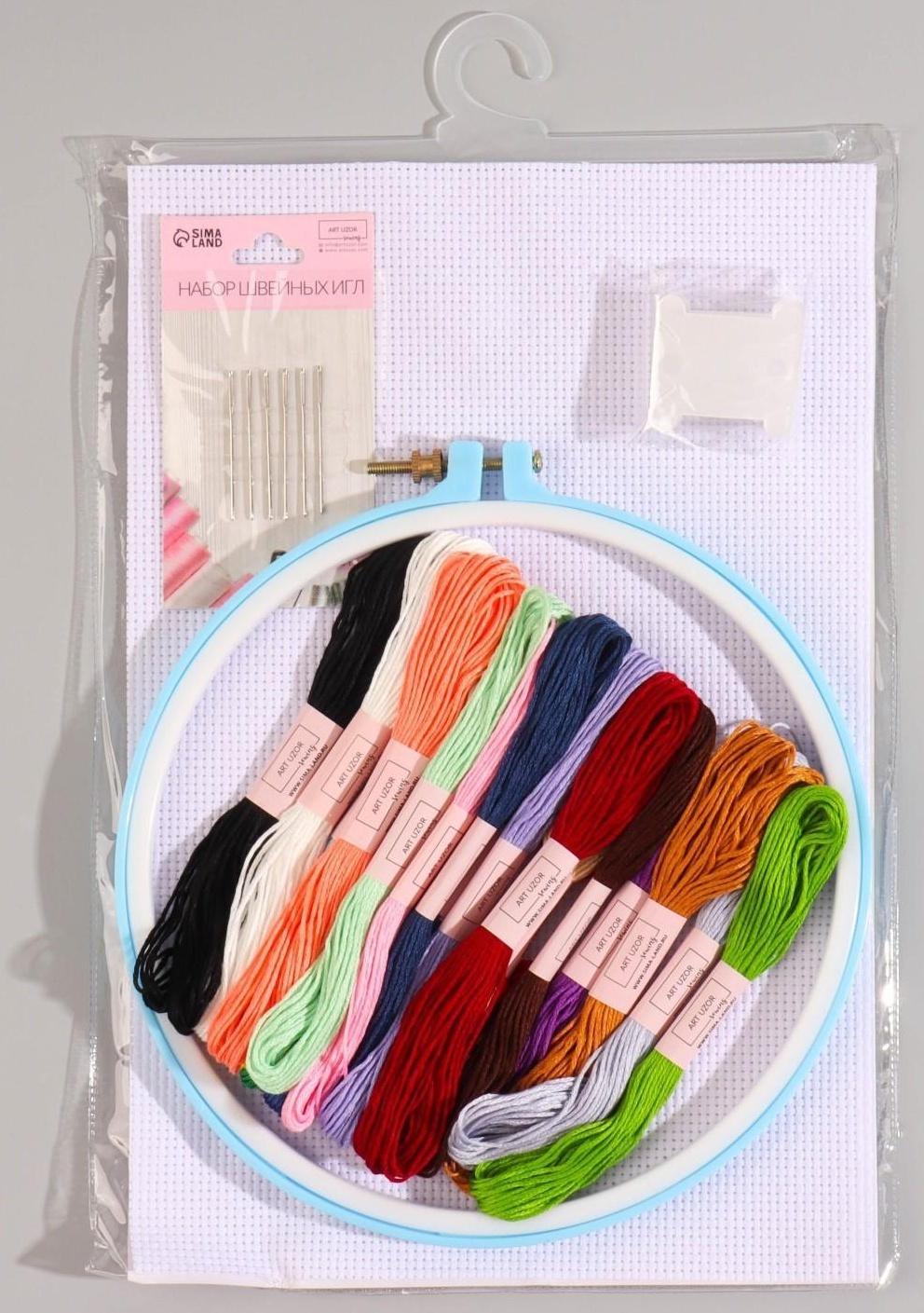 Набор для вышивания крестиком: канва без рисунка 30 × 20 см, нитки 20 шт, пяльцы d = 18 см, иглы 6 шт, шпульки 10 шт