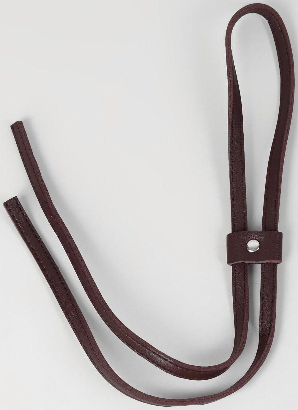 Утяжка для сумки, 85 × 0,8 см, цвет коричневый/серебряный