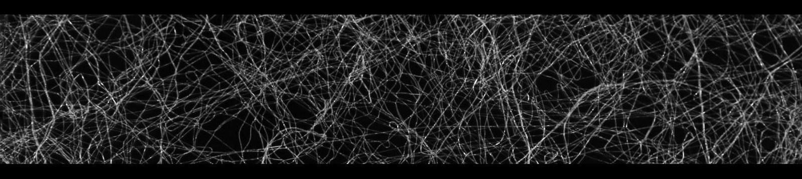 Паутинка клеевая, 15 мм, 15 ± 1 м, цвет белый