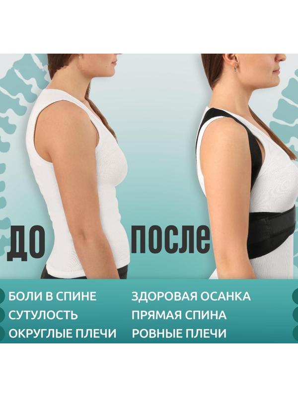Массажёр-фиксатор для осанки и поясницы, на фастексах, размер универсальный, картонная коробка, цвет чёрный
