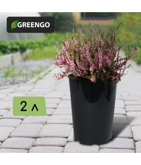 Горшок для рассады, 2 л, d = 14 см, h = 18 см, чёрный, Greengo