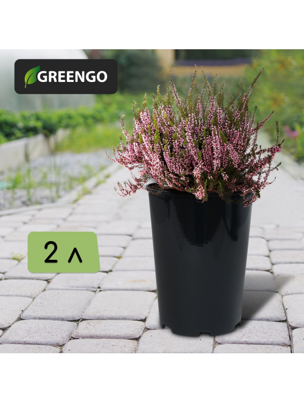 Горшок для рассады, 2 л, d = 14 см, h = 18 см, чёрный, Greengo