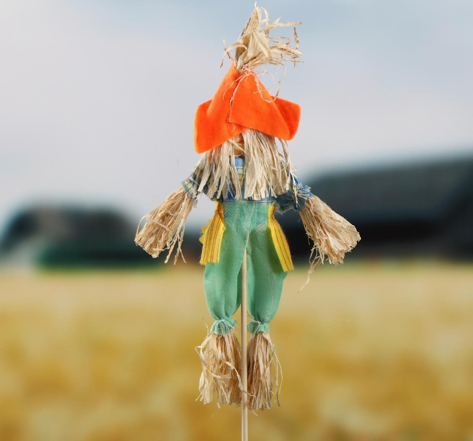 Огородное пугало, h = 50 см, МИКС