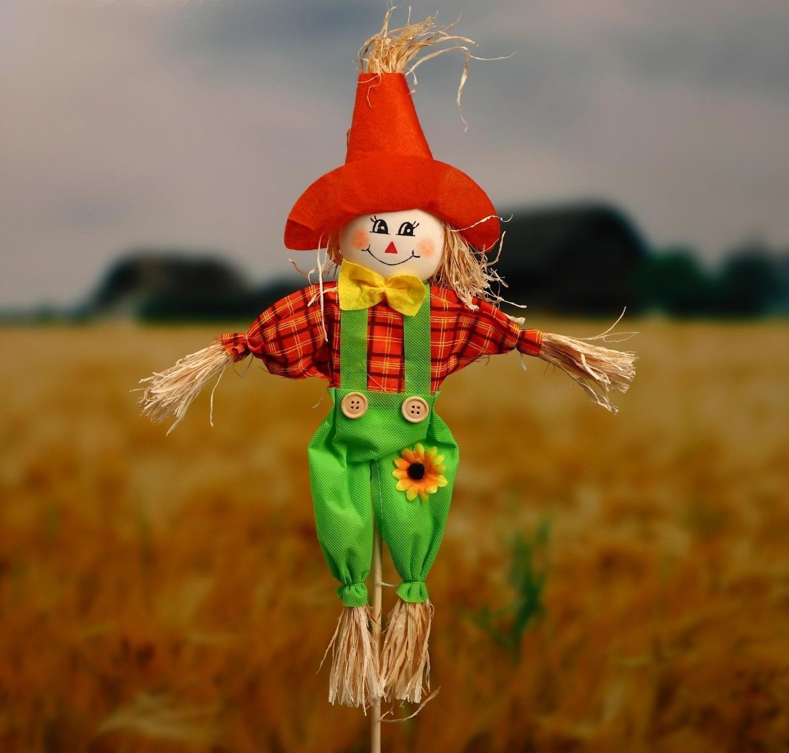 Огородное пугало, h = 80 см, МИКС