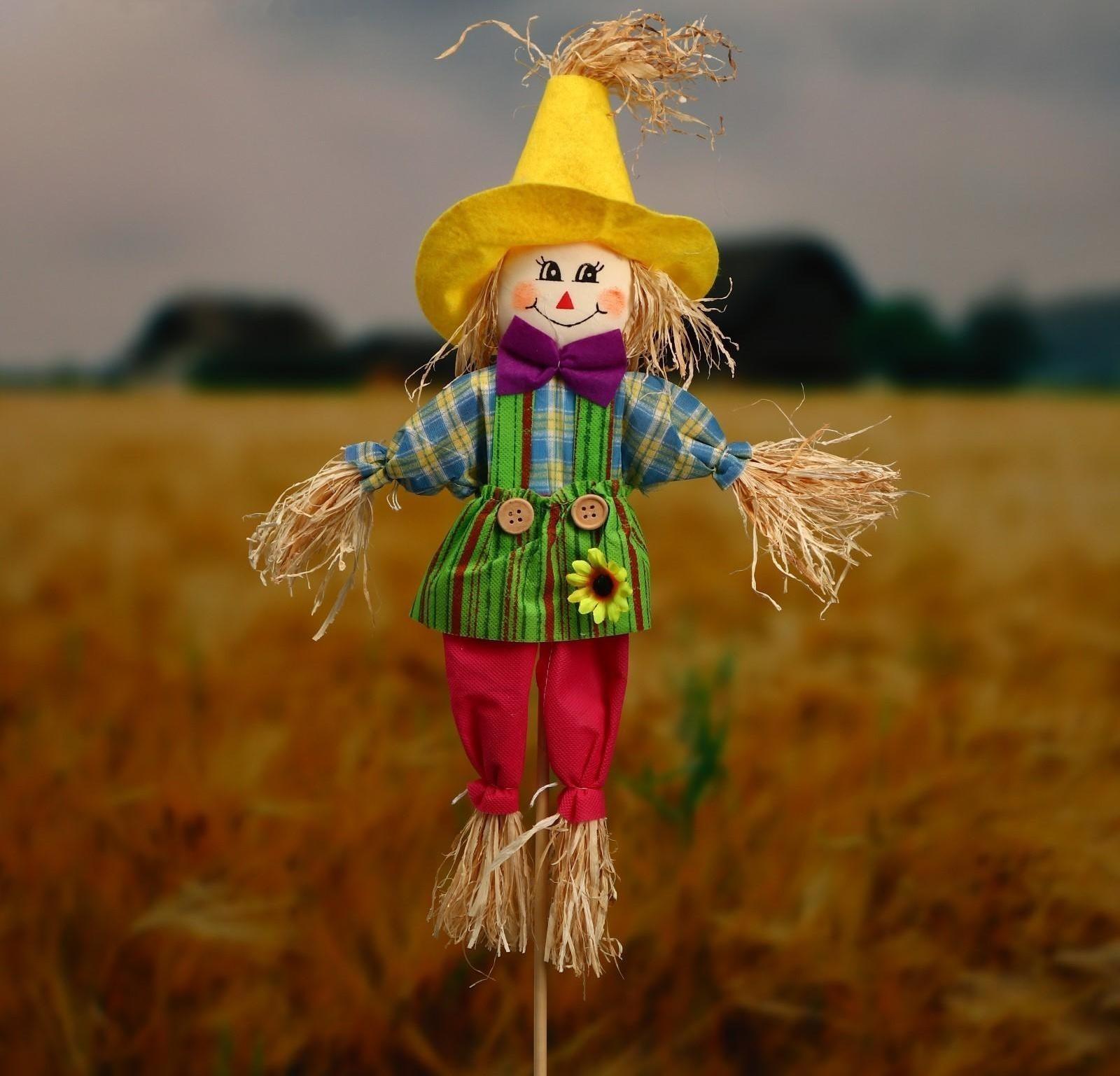 Огородное пугало, h = 80 см, МИКС
