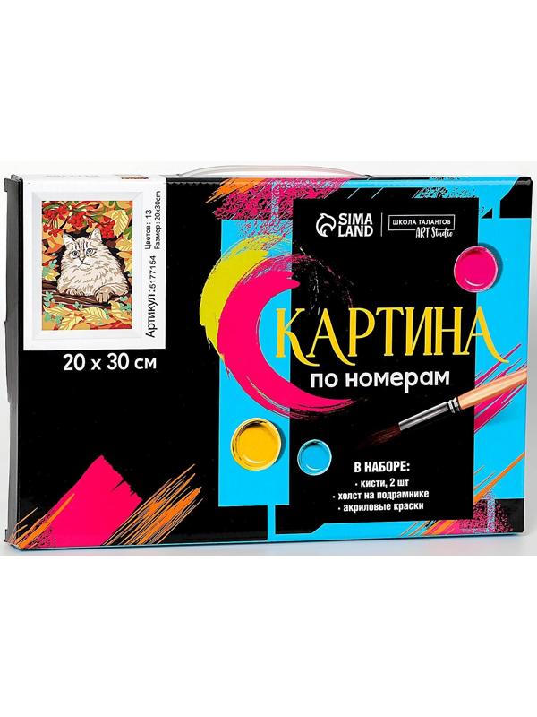 Картина по номерам на холсте с подрамником «Кот в осеннем лесу», 30х20 см