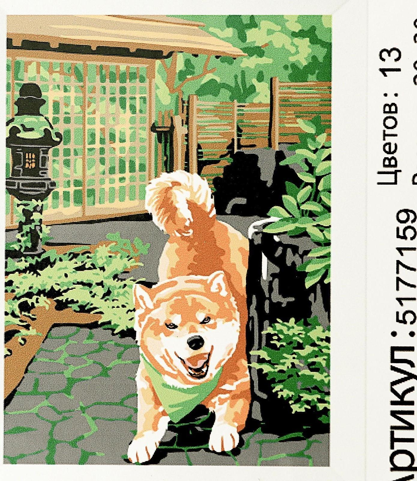 Картина по номерам на холсте с подрамником «Сиба-ину», 30х20 см