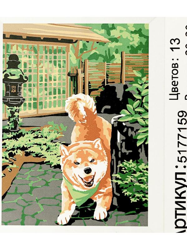 Картина по номерам на холсте с подрамником «Сиба-ину», 30х20 см