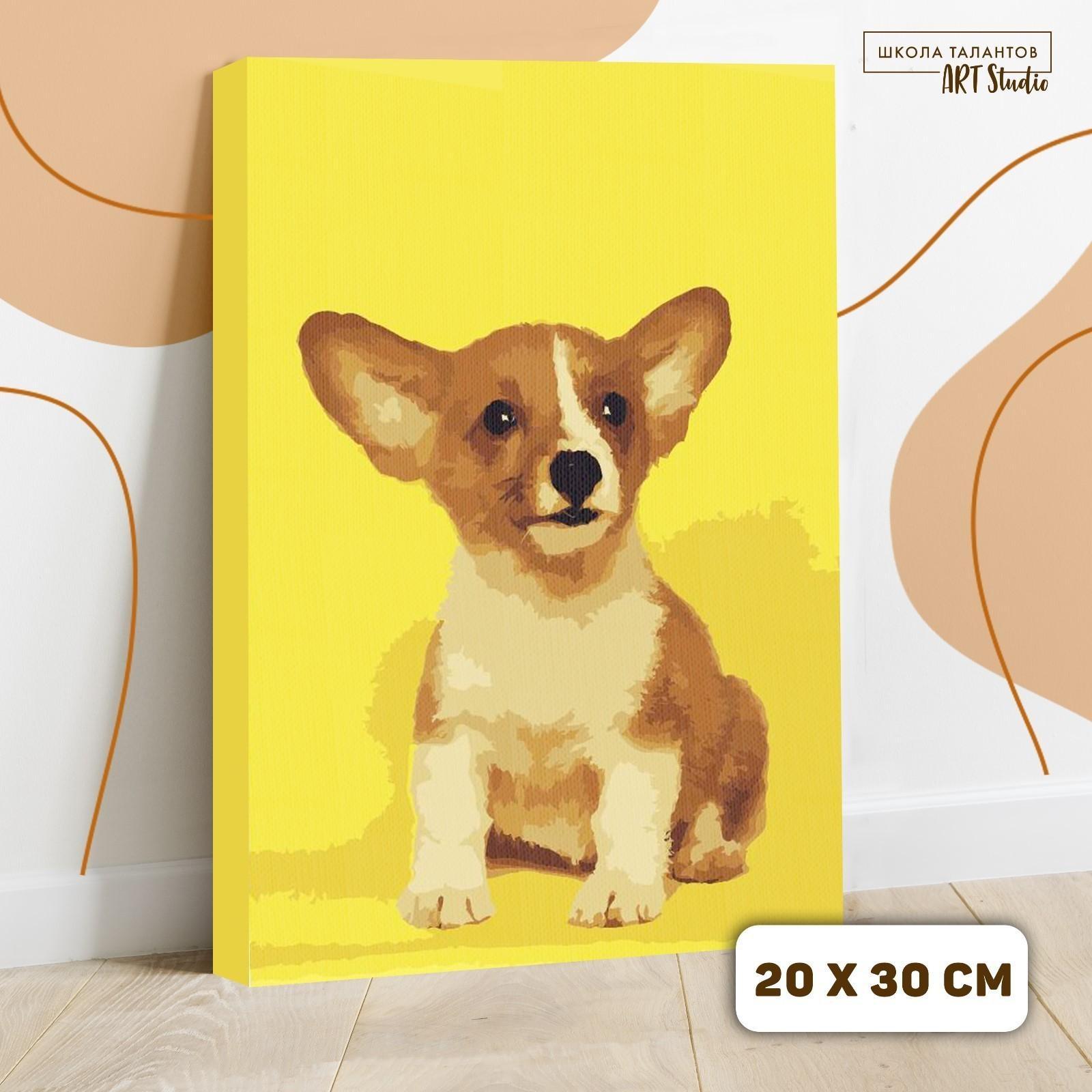 Картина по номерам на холсте с подрамником «Щенок корги», 30х20 см