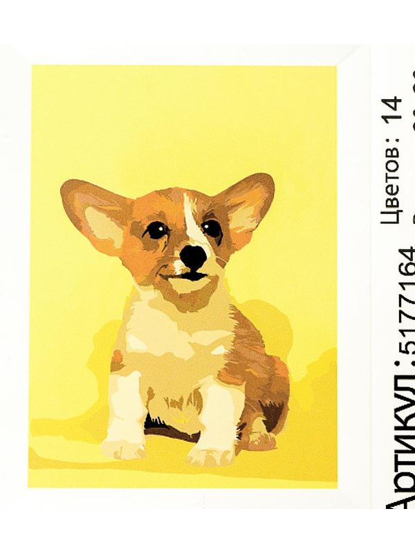 Картина по номерам на холсте с подрамником «Щенок корги», 30х20 см
