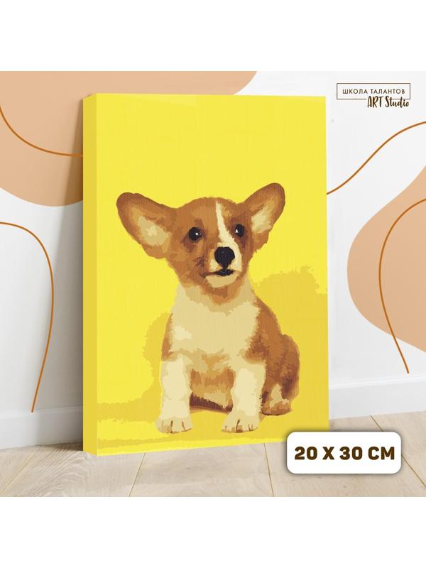 Картина по номерам на холсте с подрамником «Щенок корги», 30х20 см