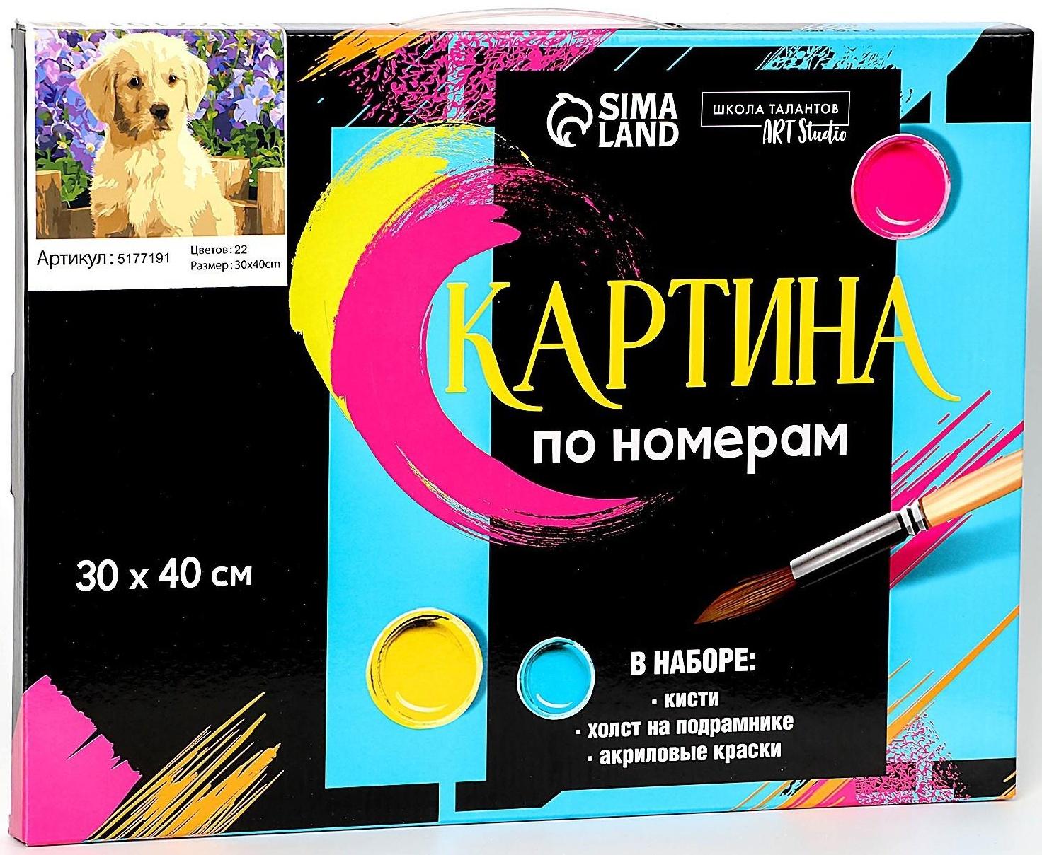 Картина по номерам на холсте с подрамником «Щенок лабрадора», 40х30 см