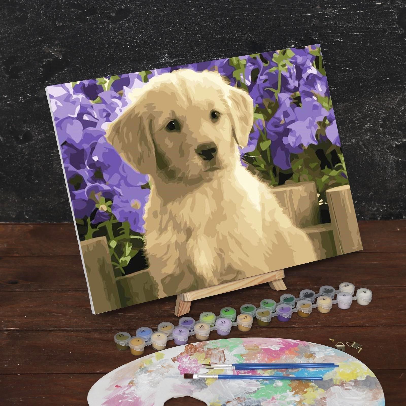 Картина по номерам на холсте с подрамником «Щенок лабрадора», 40х30 см