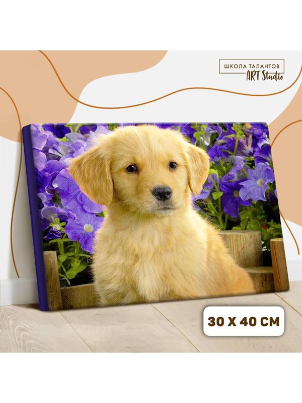 Картина по номерам на холсте с подрамником «Щенок лабрадора», 40х30 см