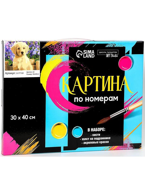 Картина по номерам на холсте с подрамником «Щенок лабрадора», 40х30 см