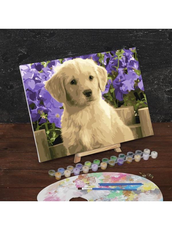 Картина по номерам на холсте с подрамником «Щенок лабрадора», 40х30 см