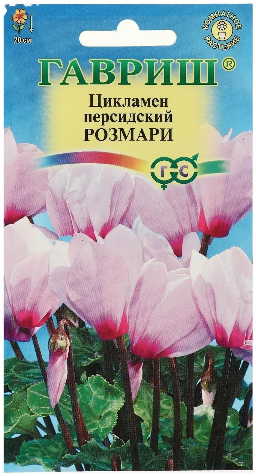 Семена цветов Цикламен 