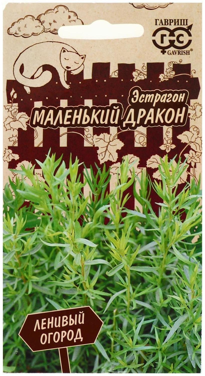 Семена Эстрагон 