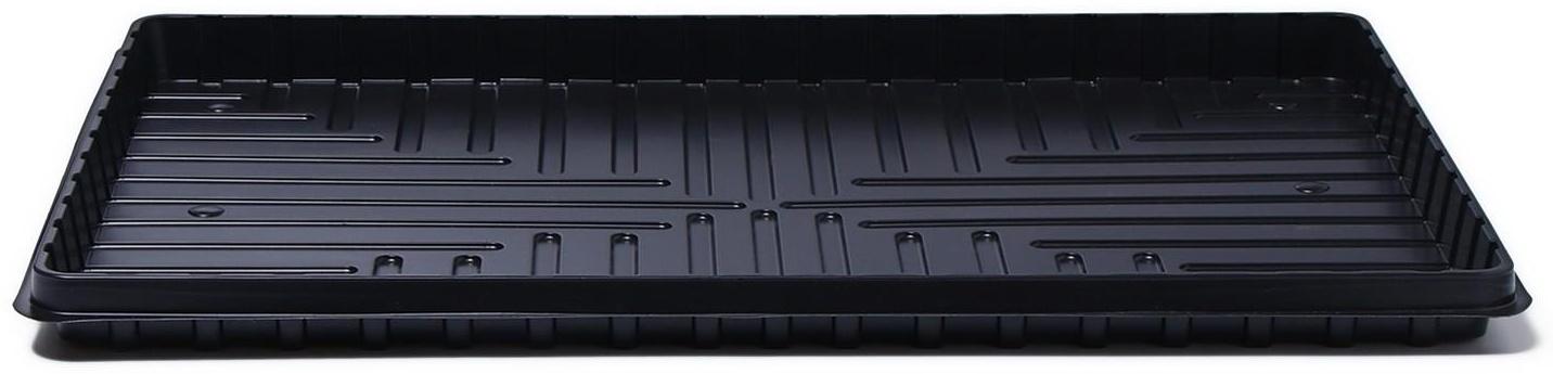 Поддон для рассады, 60 × 40 × 3,5 см