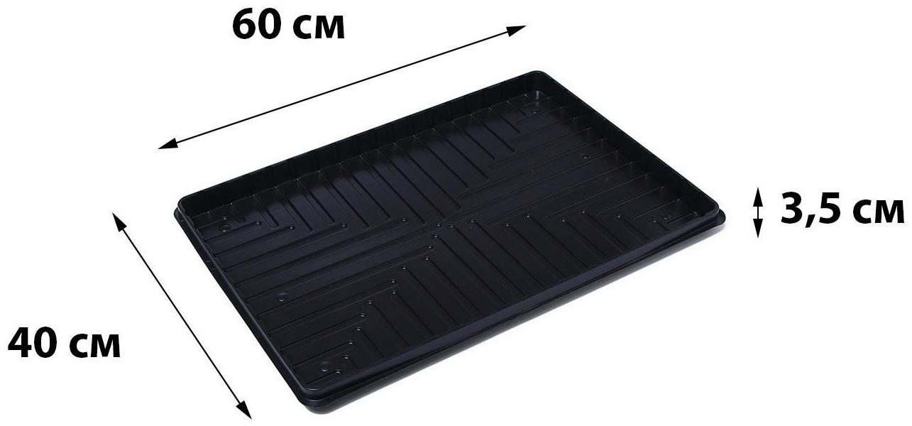 Поддон для рассады, 60 × 40 × 3,5 см