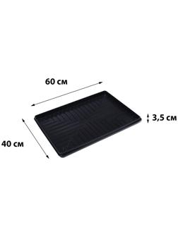 Поддон для рассады, 60 × 40 × 3,5 см