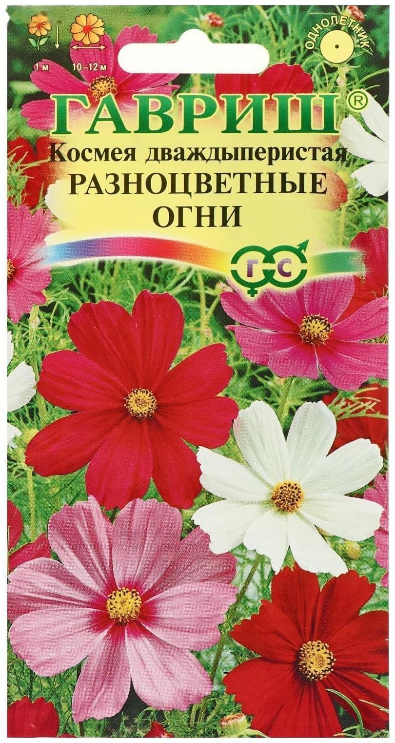 Семена цветов Космея 