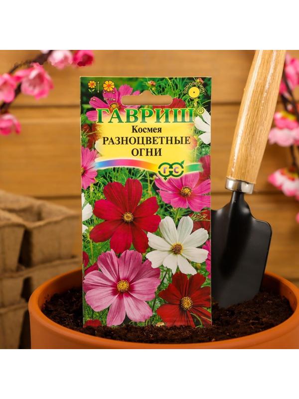 Семена цветов Космея 