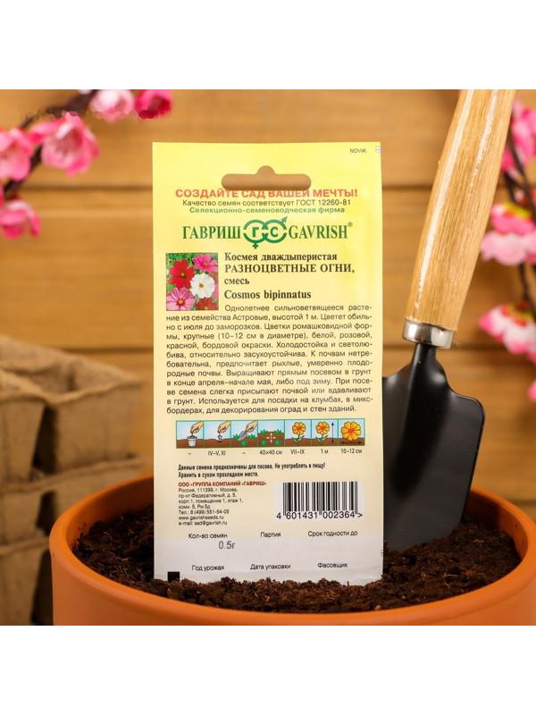 Семена цветов Космея 