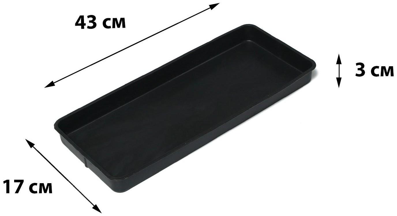 Поддон для рассады, 43 × 17 × 3 см, полипропилен, цвет МИКС, Greengo