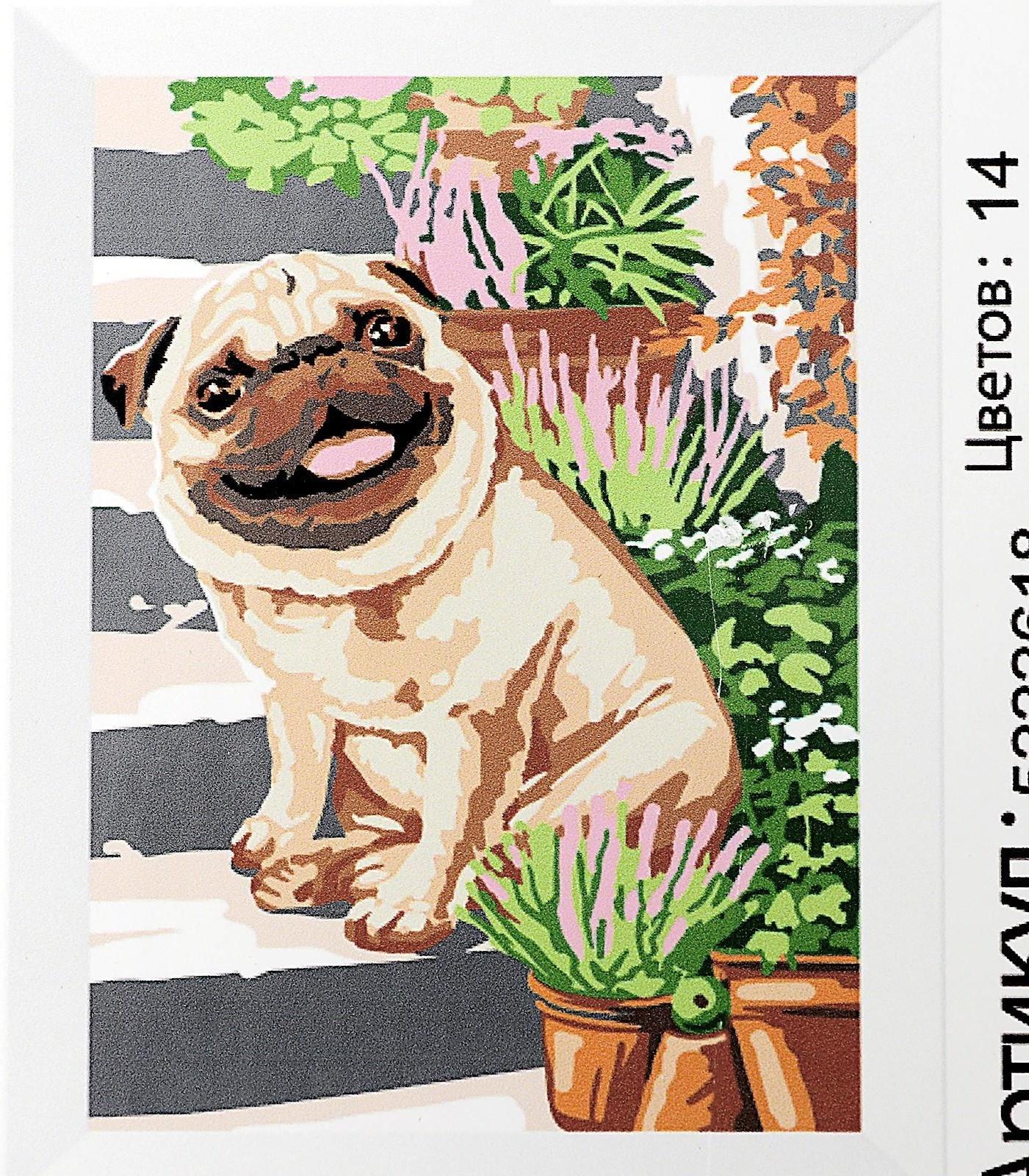 Картина по номерам на холсте с подрамником «Мопс» 20х30 см, 5222618