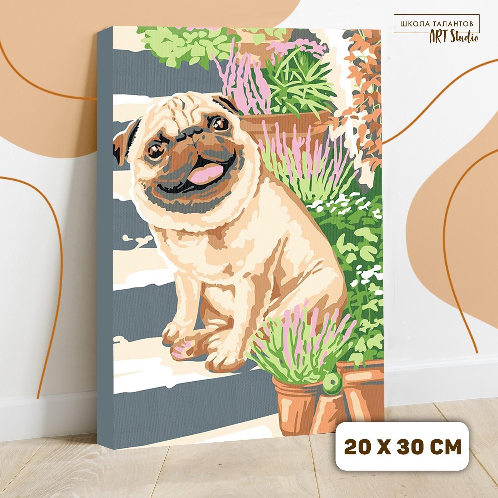 Картина по номерам на холсте с подрамником «Мопс» 20х30 см, 5222618