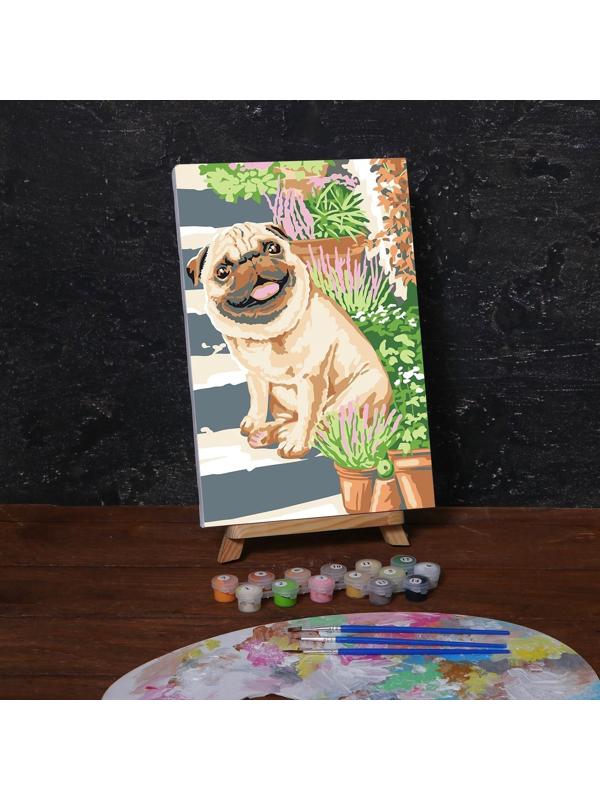 Картина по номерам на холсте с подрамником «Мопс» 20х30 см, 5222618