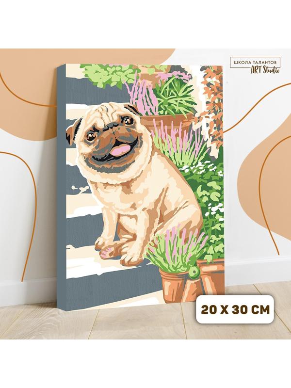 Картина по номерам на холсте с подрамником «Мопс» 20х30 см, 5222618