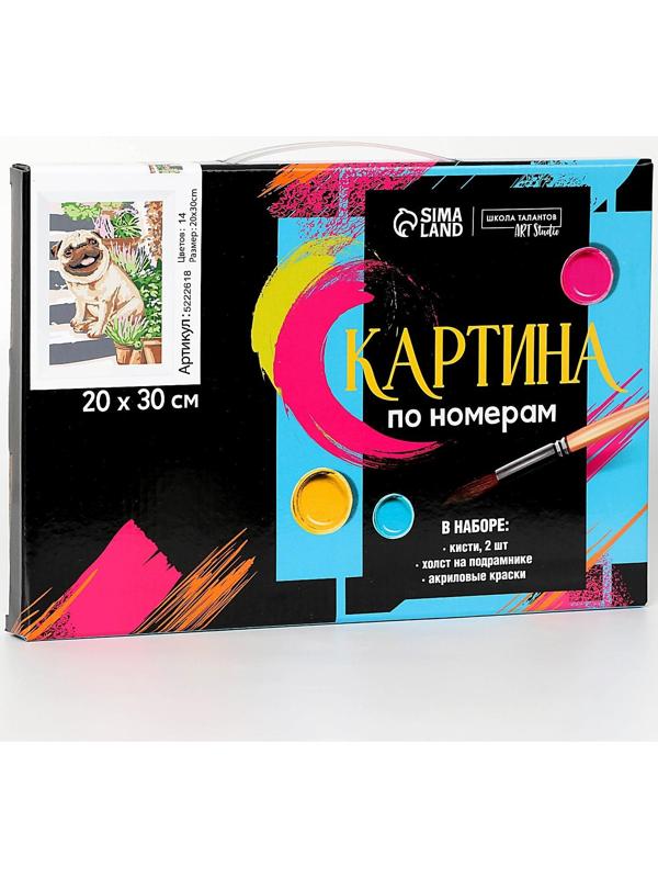 Картина по номерам на холсте с подрамником «Мопс» 20х30 см, 5222618