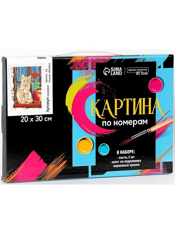 Картина по номерам на холсте с подрамником «Рыжий кот» 20х30 см