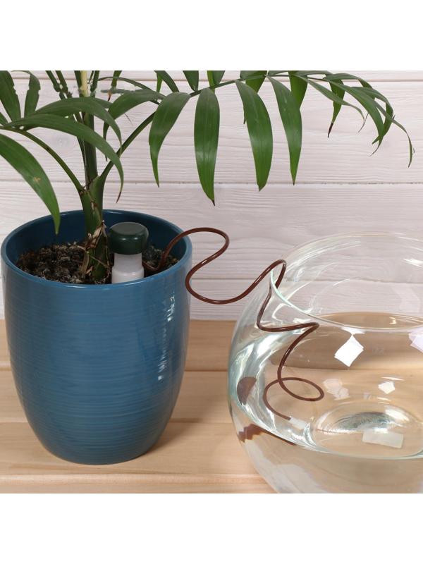 Автополив для комнатных растений, набор 2 шт., шланг 1 м