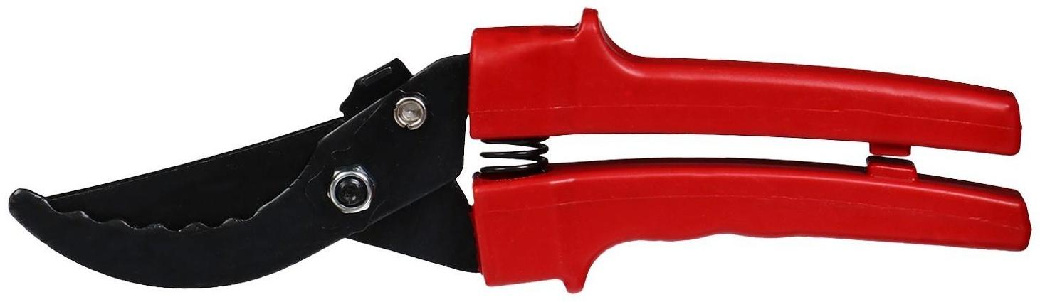 Секатор плоскостной, 9