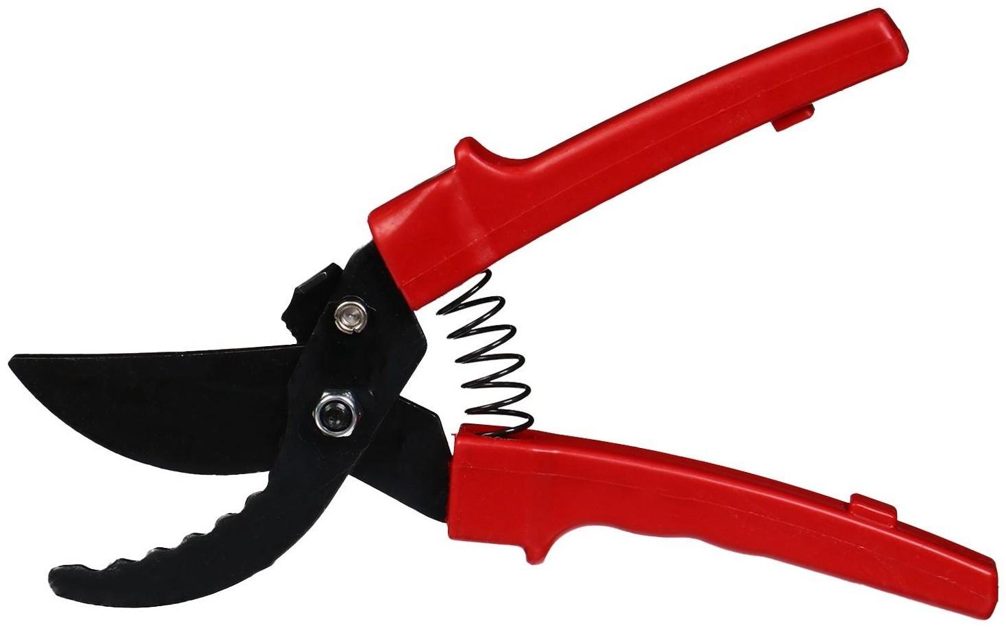 Секатор плоскостной, 9